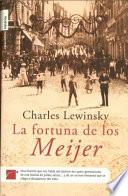 libro La Fortuna De Los Meijer