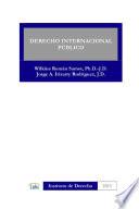 libro Derecho Internacional Publico
