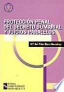 libro Protección Penal Del Secreto Sumarial Y Juicios Paralelos