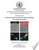 libro Activacion De Il23a Y Represion De Il12a Por Metabolitos En La Respuesta Inmune