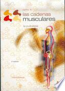 libro Cadenas Musculares, Las (tomo Iii).la Pubalgia