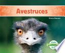 libro Avestruces/ Ostriches