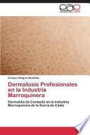 libro Dermatosis Profesionales En La Industria Marroquinera