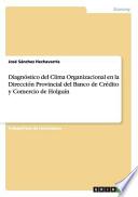 libro Diagnóstico Del Clima Organizacional En La Dirección Provincial Del Banco De Crédito Y Comercio De Holguín