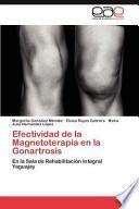 libro Efectividad De La Magnetoterapia En La Gonartrosis