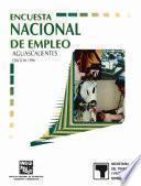 libro Encuesta Nacional De Empleo. Aguascalientes. 1996