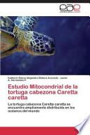 libro Estudio Mitocondrial De La Tortuga Cabezona Caretta Caretta