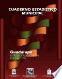 libro Guadalupe Estado De Nuevo León. Cuaderno Estadístico Municipal 1997