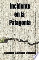 libro Incidente En La Patagonia