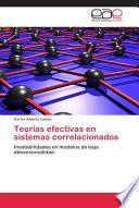 libro Teorías Efectivas En Sistemas Correlacionados